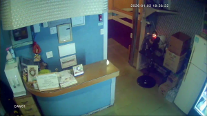 Caméra IP - South Korea