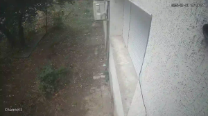 Caméra IP - Bulgaria