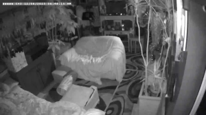 Caméra IP - United States of America