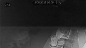 Caméra IP - Singapore