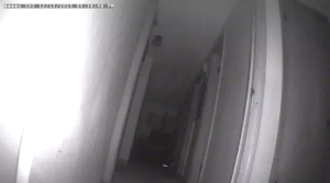 Caméra IP - Vereinigte Staaten von Amerika