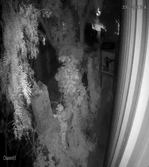 Caméra IP - Uruguay