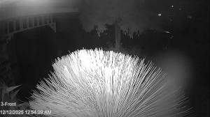 Caméra IP - Australia