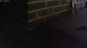 Caméra IP - Belgique