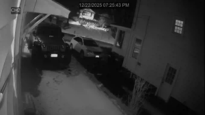 Caméra IP - États-Unis d'Amérique