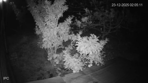 Caméra IP - Vietnam