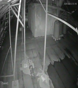 Caméra IP - Libanon