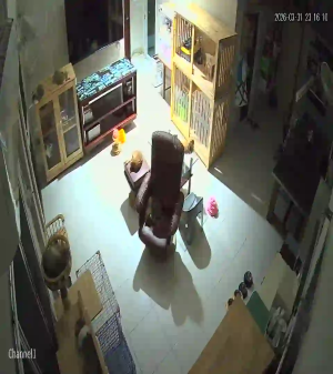 Caméra IP - Thailand