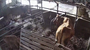 Caméra IP - España