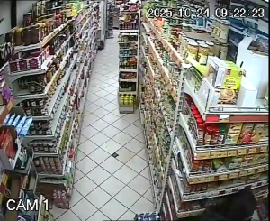 Caméra IP - France