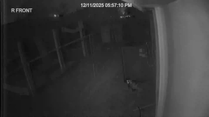 Caméra IP - United States of America