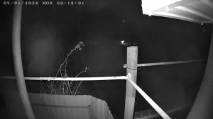 Caméra IP - Ukraine