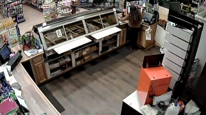 Caméra IP - United States of America