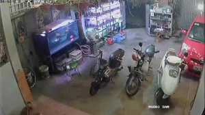 Caméra IP - Vietnam