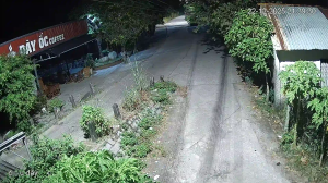 Caméra IP - Vietnam