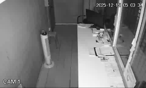 Caméra IP - Vereinigtes Königreich