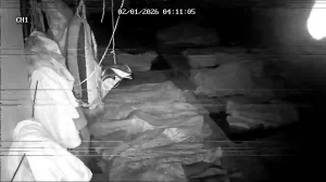 Caméra IP - Bangladesh