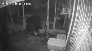 Caméra IP - Puerto Rico