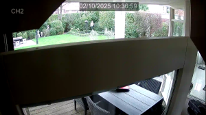 Caméra IP - Netherlands