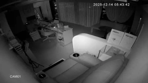 Caméra IP - Südkorea