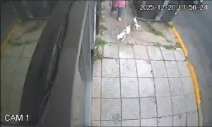 Caméra IP - Argentina