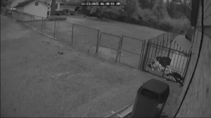 Caméra IP - États-Unis d'Amérique