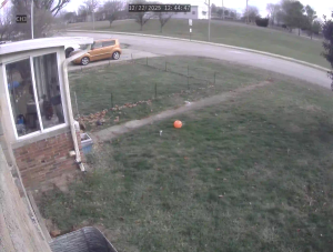 Caméra IP - Vereinigte Staaten von Amerika