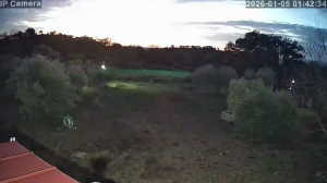 Caméra IP - Espagne