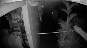 Caméra IP - États-Unis d'Amérique