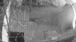 Caméra IP - Österrike