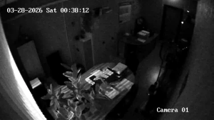 Caméra IP - Russische Föderation