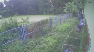Caméra IP - Thailand