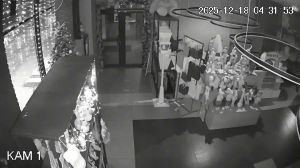 Caméra IP - Kazajistán