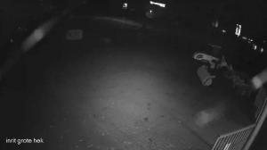 Caméra IP - Netherlands