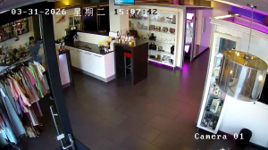 Caméra IP - Netherlands