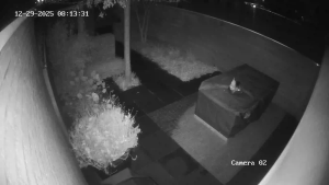 Caméra IP - Pays-Bas