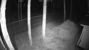 Caméra IP - Russian Federation