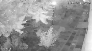 Caméra IP - Argentina