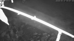 Caméra IP - Hungary