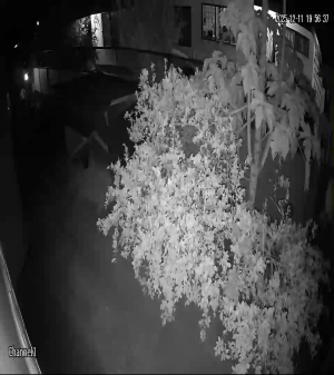 Caméra IP - Suriname