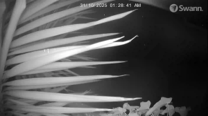 Caméra IP - Australia