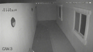 Caméra IP - Stati Uniti d'America