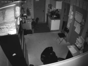 Caméra IP - United States of America