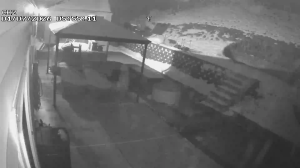 Caméra IP - United States of America