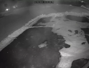 Caméra IP - United States of America