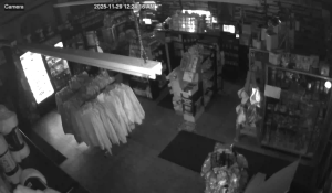 Caméra IP - États-Unis d'Amérique