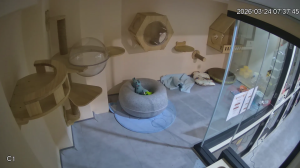 Caméra IP - Malaysia