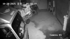Caméra IP - China