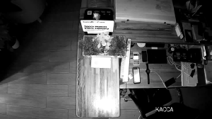 Caméra IP - Russian Federation