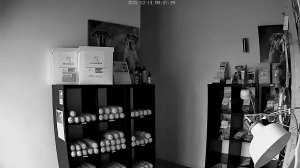 Caméra IP - Germany